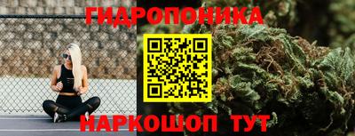 индика Волгодонск