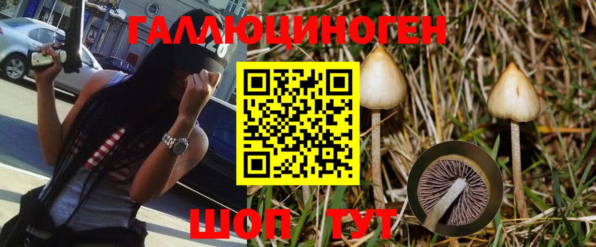 Псилоцибиновые грибы GOLDEN TEACHER Бахчисарай