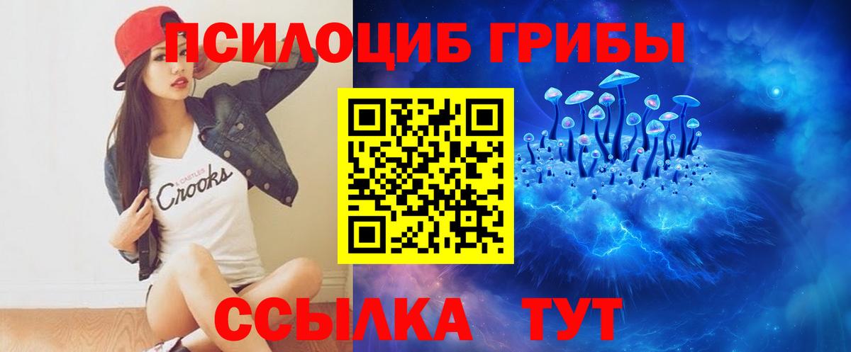 Бахчисарай  Галлюциногенные грибы Cubensis  Псилоцибиновые грибы Cubensis  Вход с VPN 